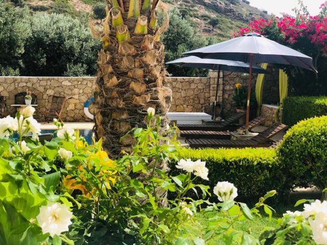 Ferienwohnung La Bastide Skyros Exterior foto