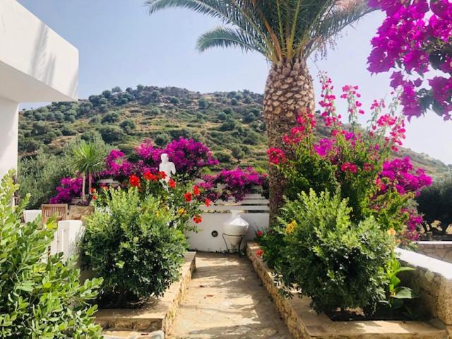 Ferienwohnung La Bastide Skyros Exterior foto